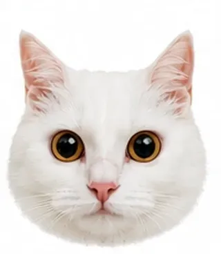 Picha's eyes: wide-eyed / fearful
